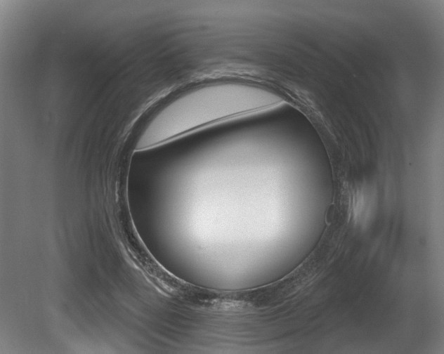 X0000081320539200701111031