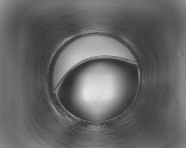 X0000081320540200701111031