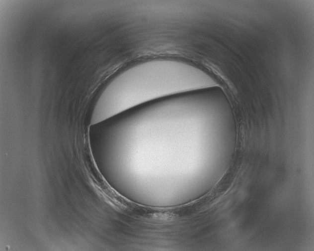X0000081320541200701111031