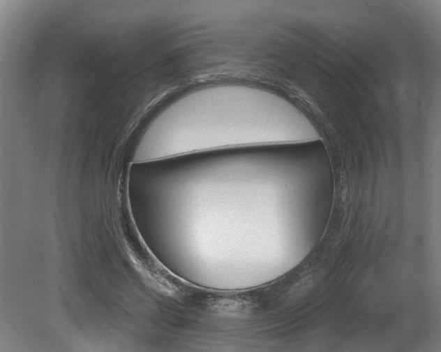 X0000081320542200701111031