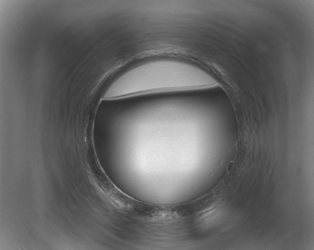 X0000081320543200701111031