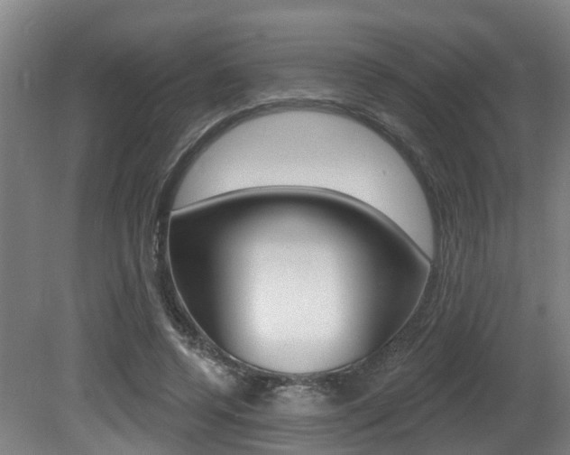 X0000081320544200701111031