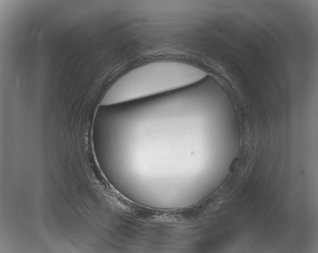 X0000081320545200701111031