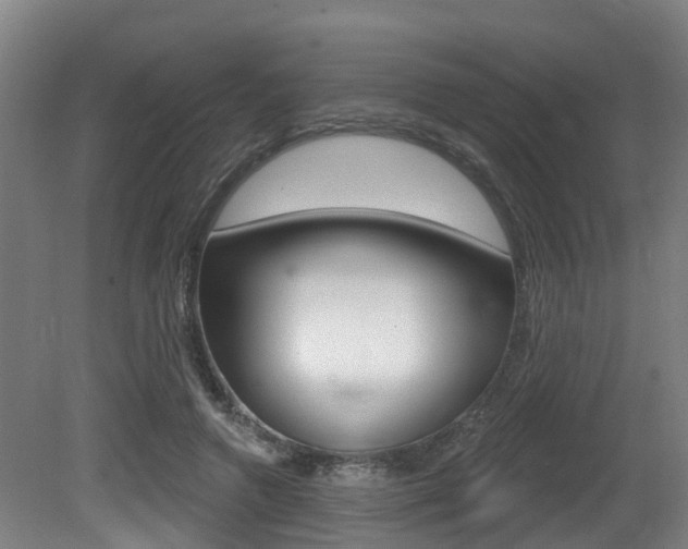 X0000081320546200701111031