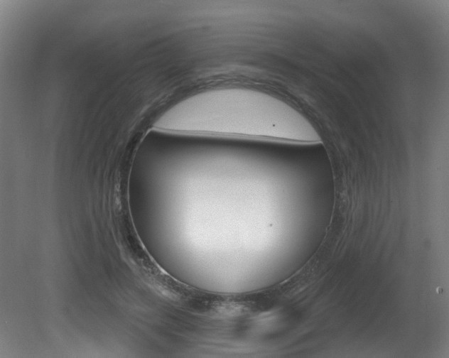 X0000081320547200701111031
