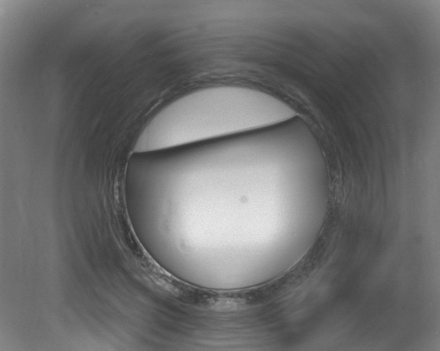 X0000081320549200701111031