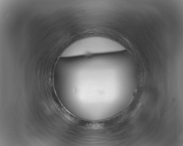 X0000081320553200701111031