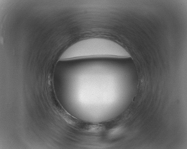 X0000081320555200701111031
