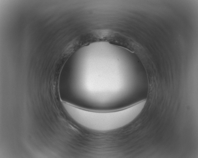 X0000081320558200701111031