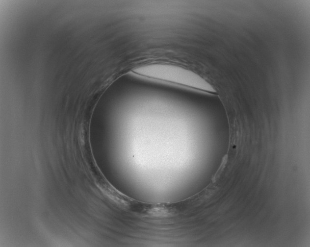 X0000081320562200701111031
