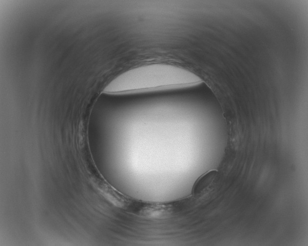 X0000081320563200701111031
