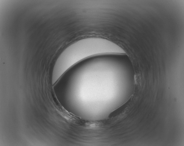 X0000081320564200701111031