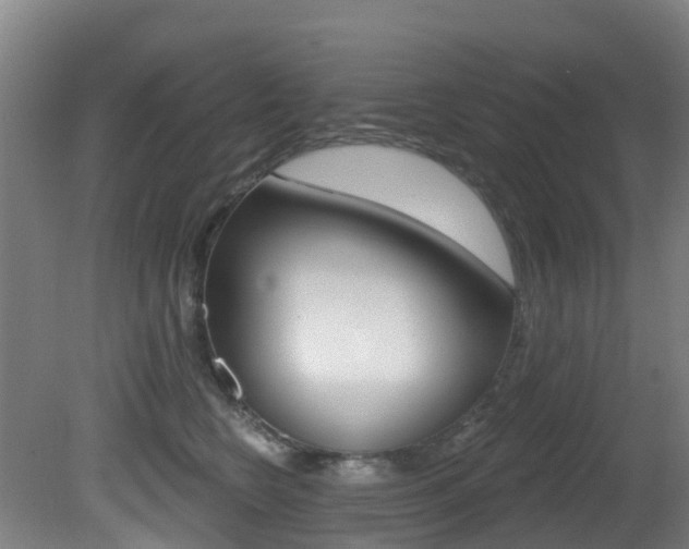X0000081320566200701111032