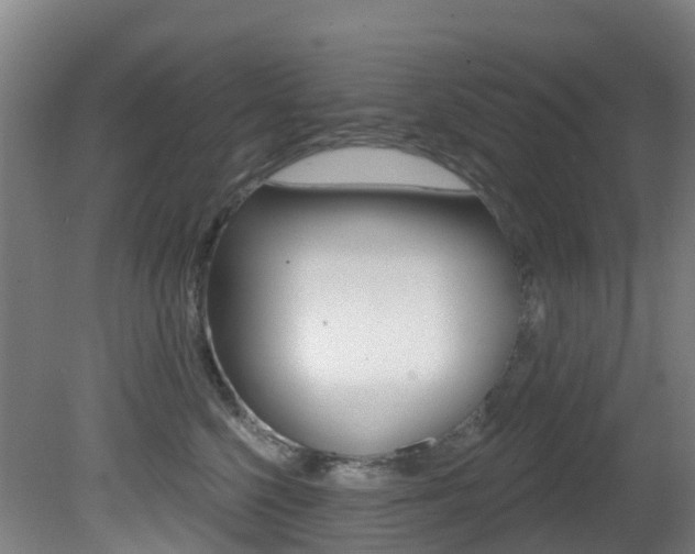 X0000081320568200701111032
