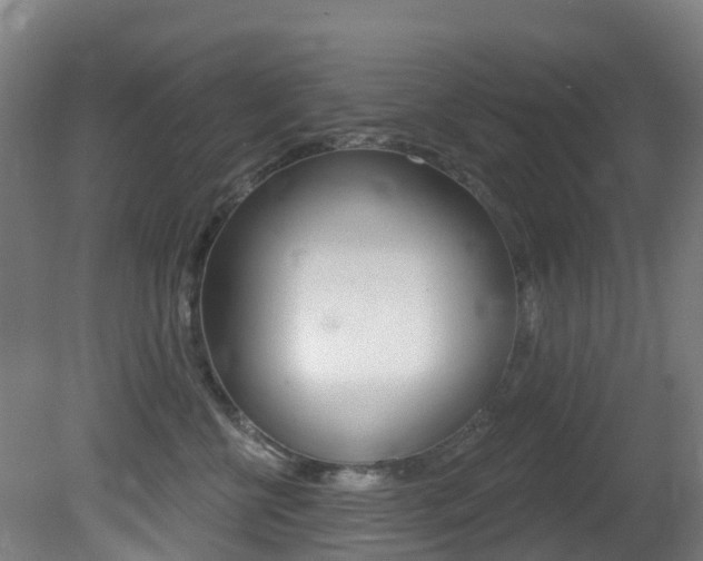 X0000081320570200701111032