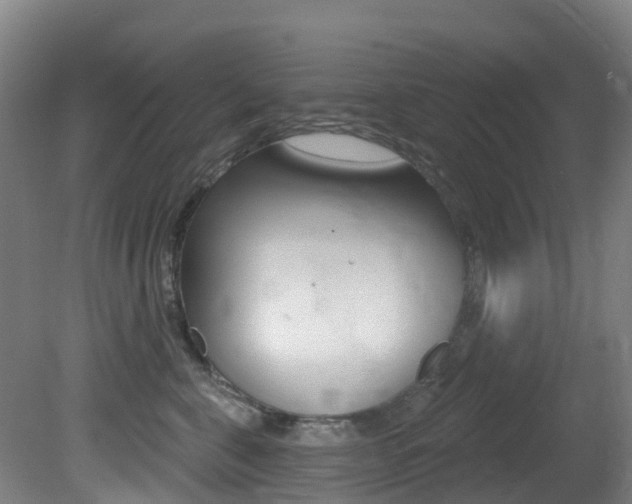 X0000081320571200701111032