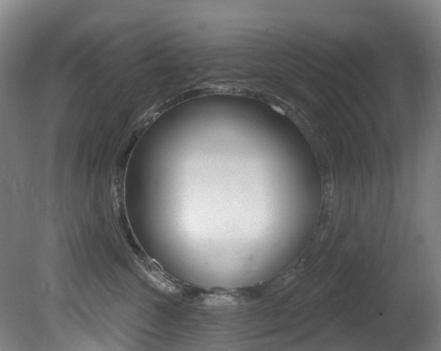 X0000081320572200701111032