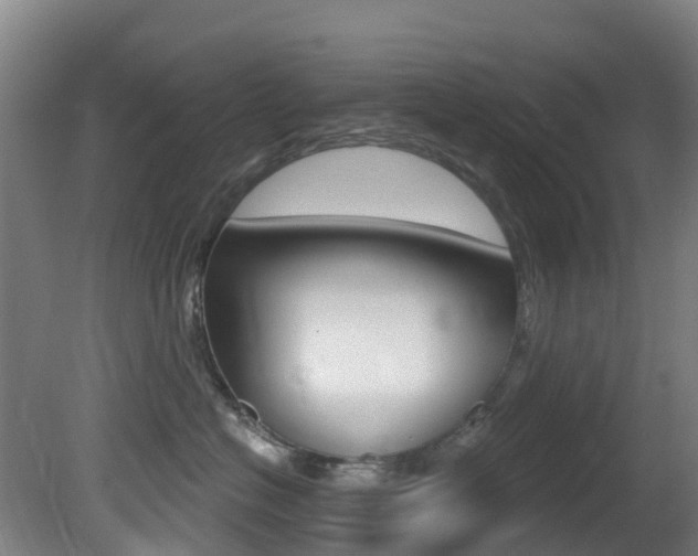 X0000081320574200701111032
