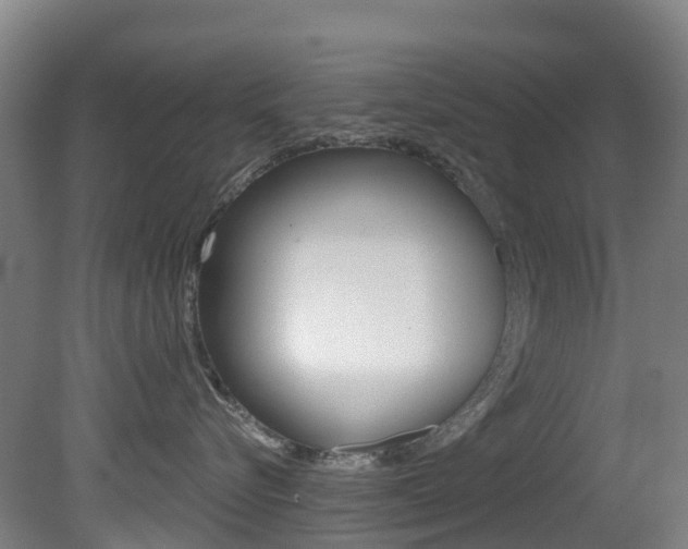 X0000081320576200701111032