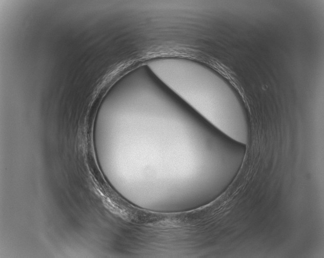 X0000081320578200701111031