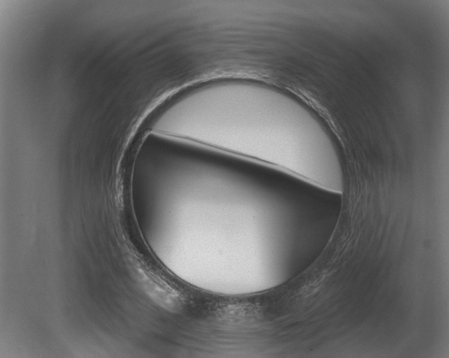 X0000081320584200701111031