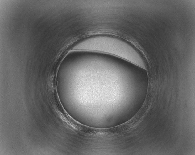 X0000081320585200701111031