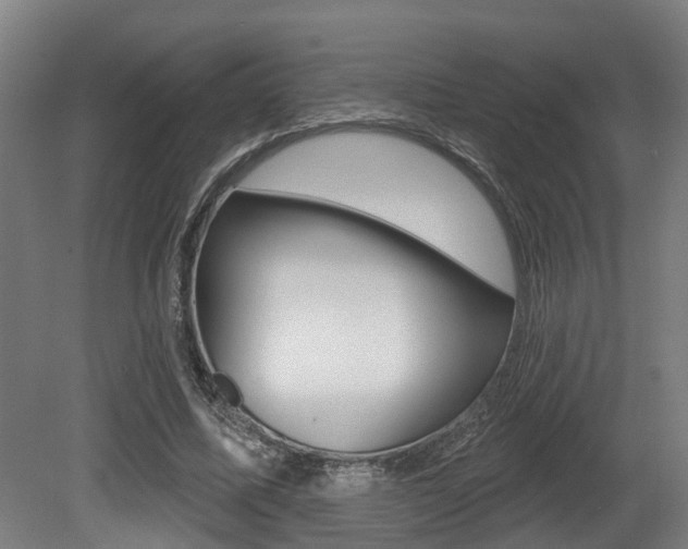 X0000081320587200701111031