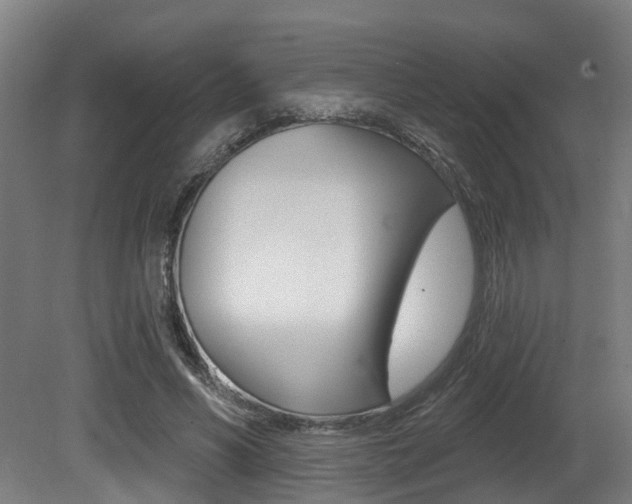 X0000081320590200701111031