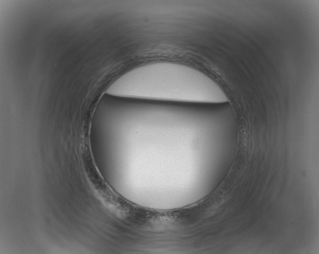 X0000081320594200701111031