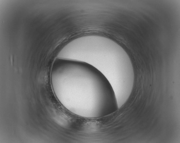 X0000081320595200701111031
