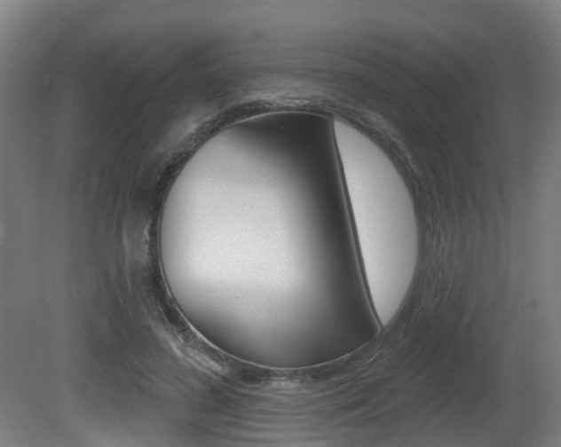 X0000081320596200701111031