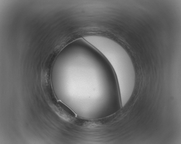 X0000081320597200701111031