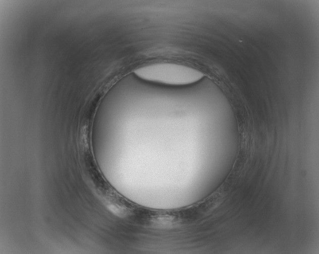 X0000081320598200701111030
