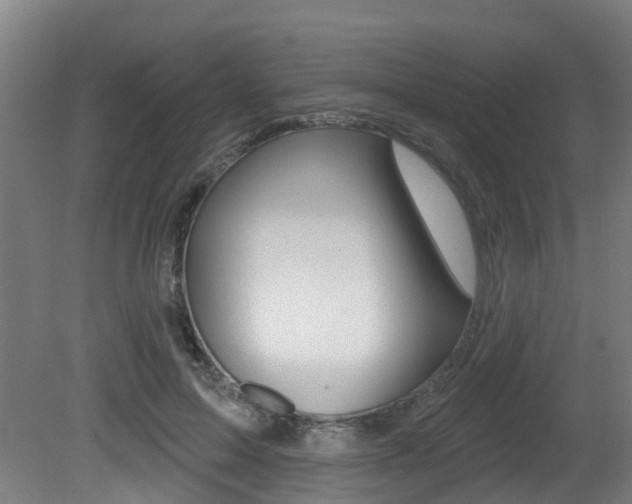 X0000081320599200701111030