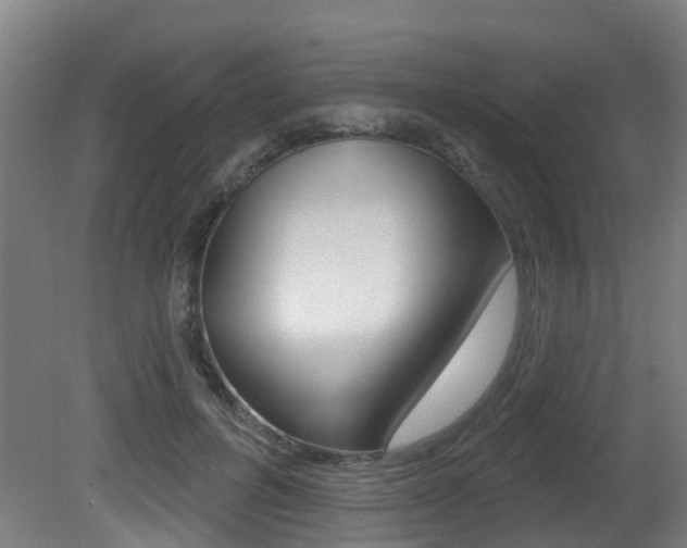 X0000081320600200701111030