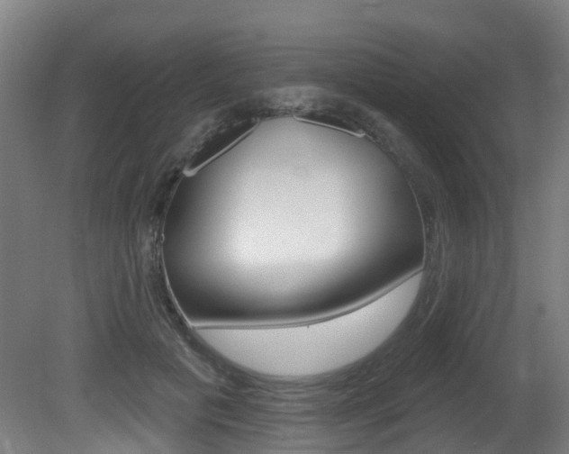 X0000081320601200701111030