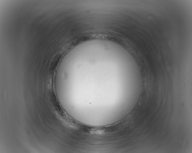 X0000081320602200701111030