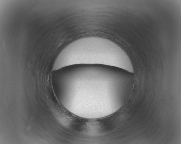 X0000081320603200701111030