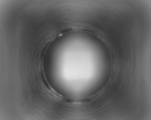 X0000081320604200701111030