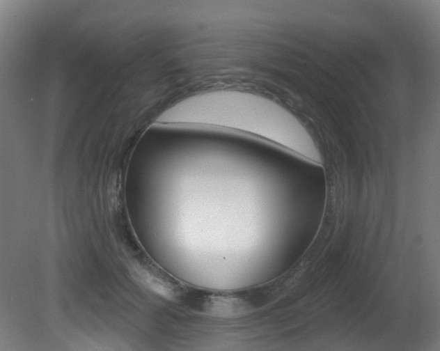 X0000081320605200701111030