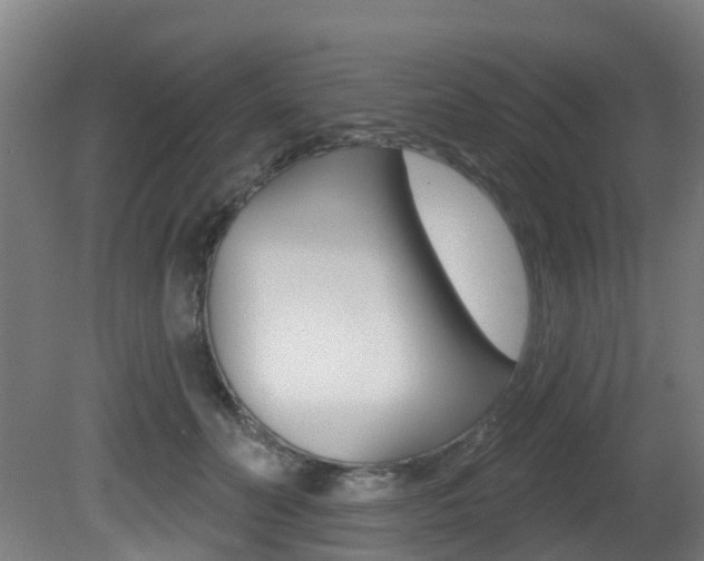 X0000081320606200701111030