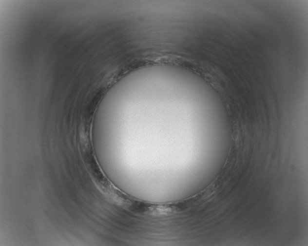 X0000081320607200701111030