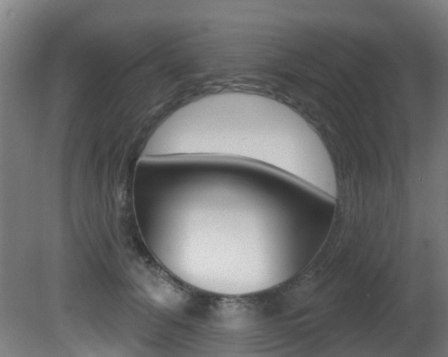 X0000081320608200701111030