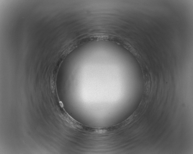 X0000081320609200701111030