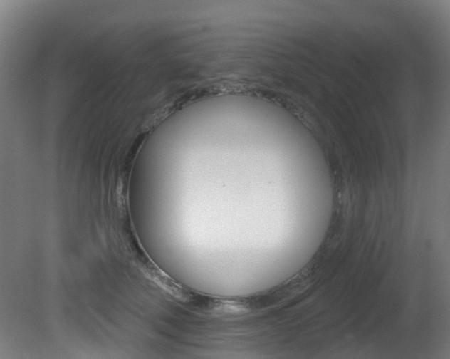 X0000081320610200701111030