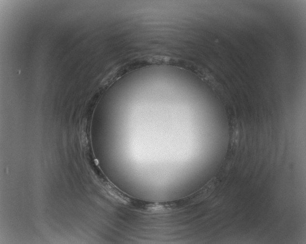 X0000081320616200701111030