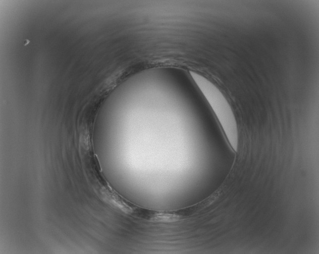 X0000081320617200701111030