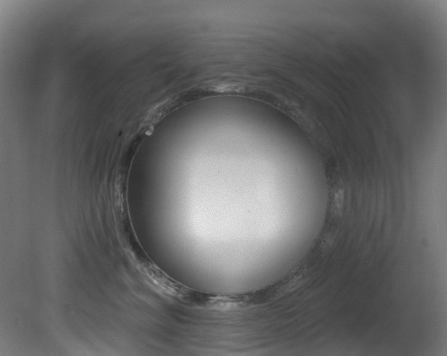 X0000081320620200701111030
