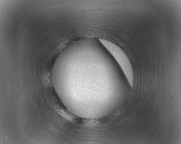 X0000081320621200701111030