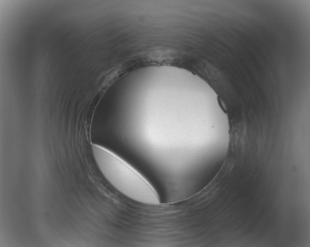 X0000081320623200701111030